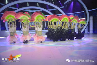 舞韻綻芳華，星光啟航藝術(shù)培訓(xùn)學(xué)校攜《陌上花開(kāi)》亮相四川廣播電視臺(tái)超級(jí)新秀場(chǎng)